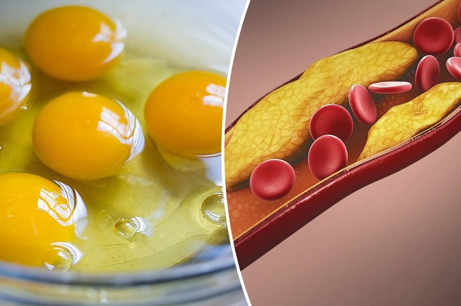 What happens to the body when we consume eggs?