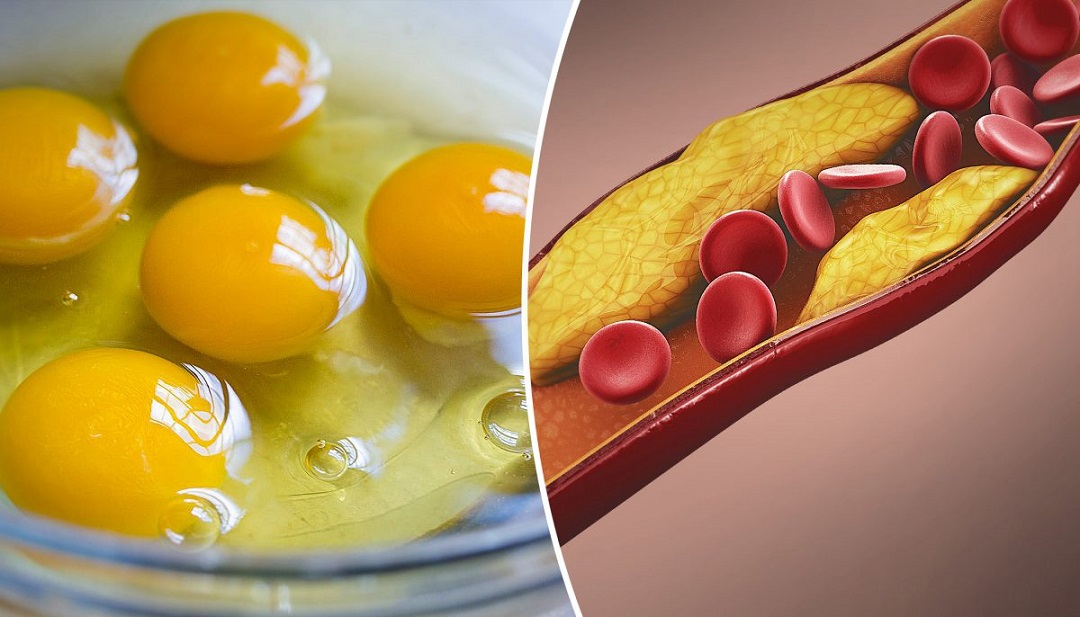 What happens to the body when we consume eggs?